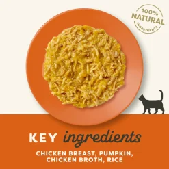Applaws 75% Chicken Breast with Pumpkin in Broth Natural Wet Cat Food - 70 g