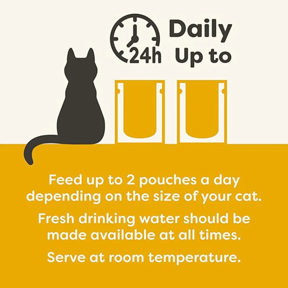 Applaws 75% Chicken Breast with Pumpkin in Broth Natural Wet Cat Food - 70 g