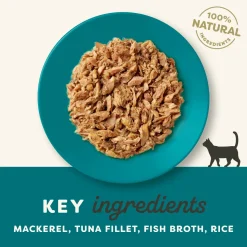 Applaws Ocean Fish Natural Wet Cat Food - 70 g
