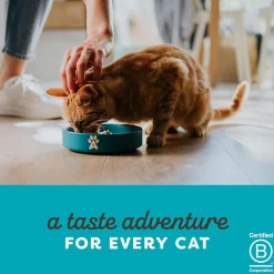 Applaws Tuna Fillet With Whole Anchovy Wet Food For Adult Cat - 70 g