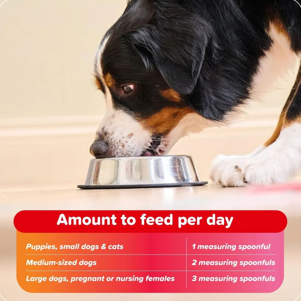 Beaphar Bone Builder For Dogs & Cats - 400 g