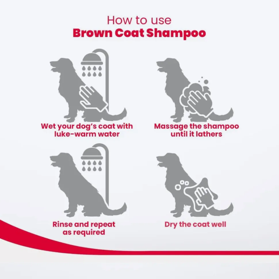 Beaphar Brown And Shiny Coat Shampoo For Dog - Honey & Aloe Vera - 250 ml