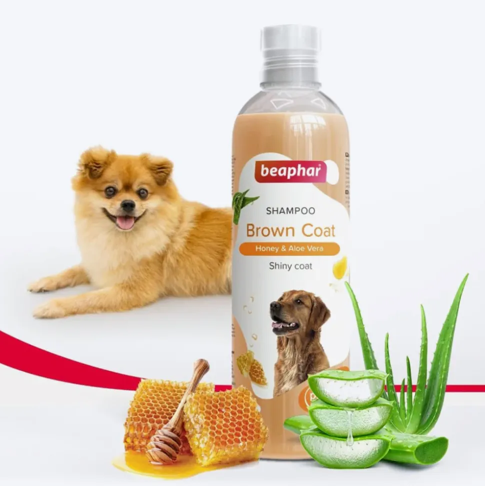 Beaphar Brown And Shiny Coat Shampoo For Dog - Honey & Aloe Vera - 250 ml