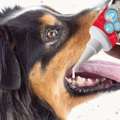 Beaphar Tooth Gel For Dogs & Cats - 100 gm