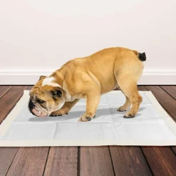 Bramton OUT! Go Here Dog Pads - Moisture Lock Training Pads