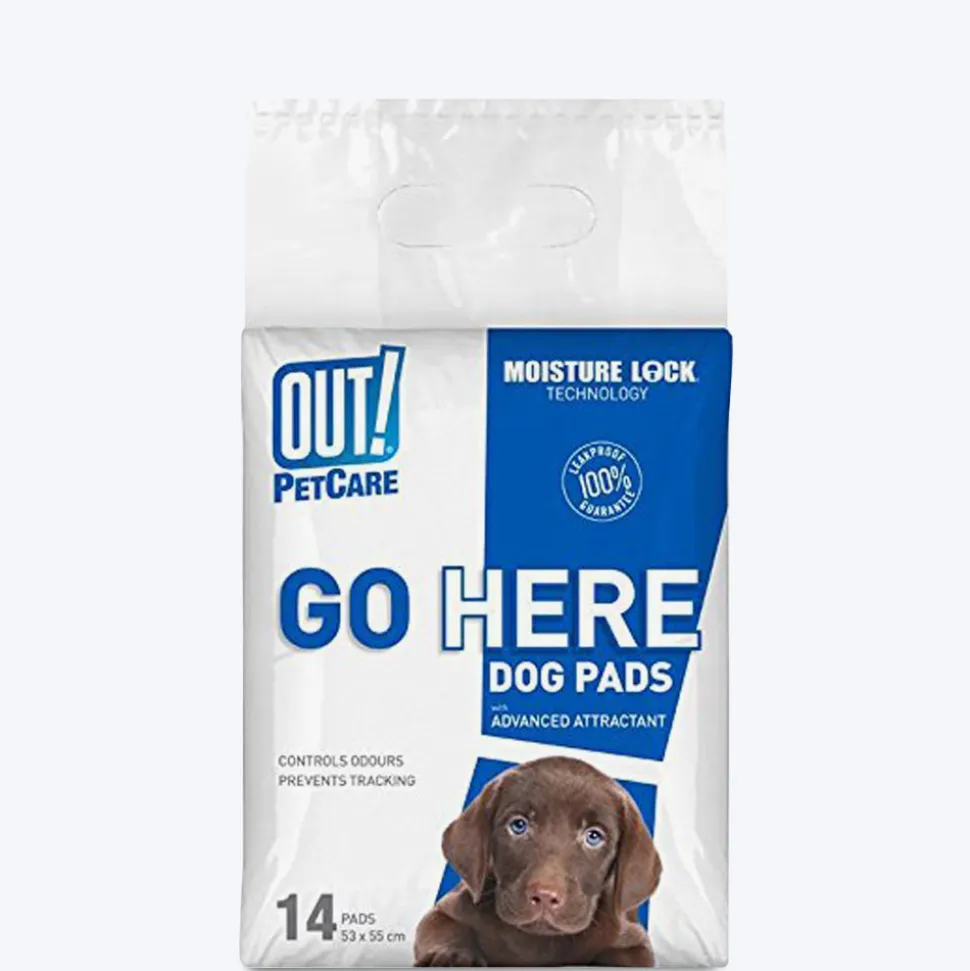 Bramton OUT! Go Here Dog Pads - Moisture Lock Training Pads