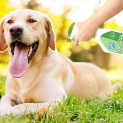 Bramton OUT! Natural Flea & Tick Spray - 500 ml