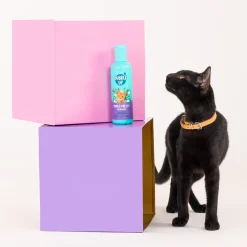 Bubble Up - Purr & Pretty Shampoo For Cat - 200 ml