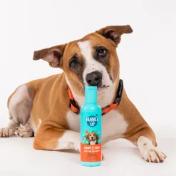 Bubble Up - Short & Silky Short Coat Shampoo For Dog - 200 ml
