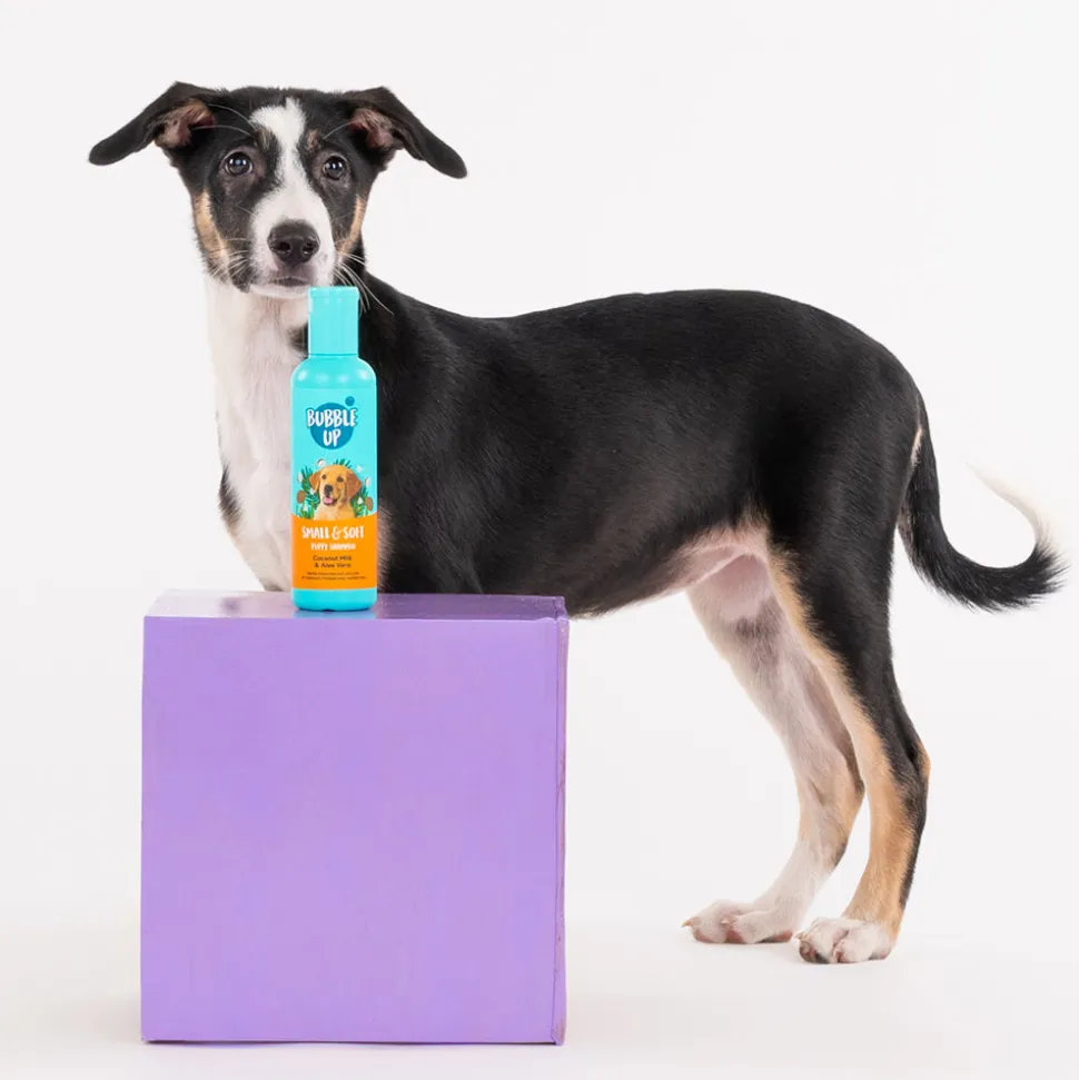 Bubble Up - Small & Soft Shampoo For Puppy - 200 ml