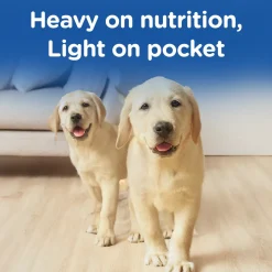 Chappi Chicken & Milk Dry Food For Puppy