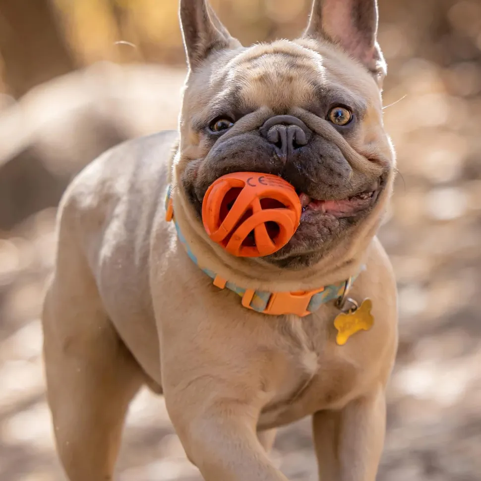 Chuckit! Breathe Right Ball Fetch Toy For Dog - Orange - S - Set Of 2
