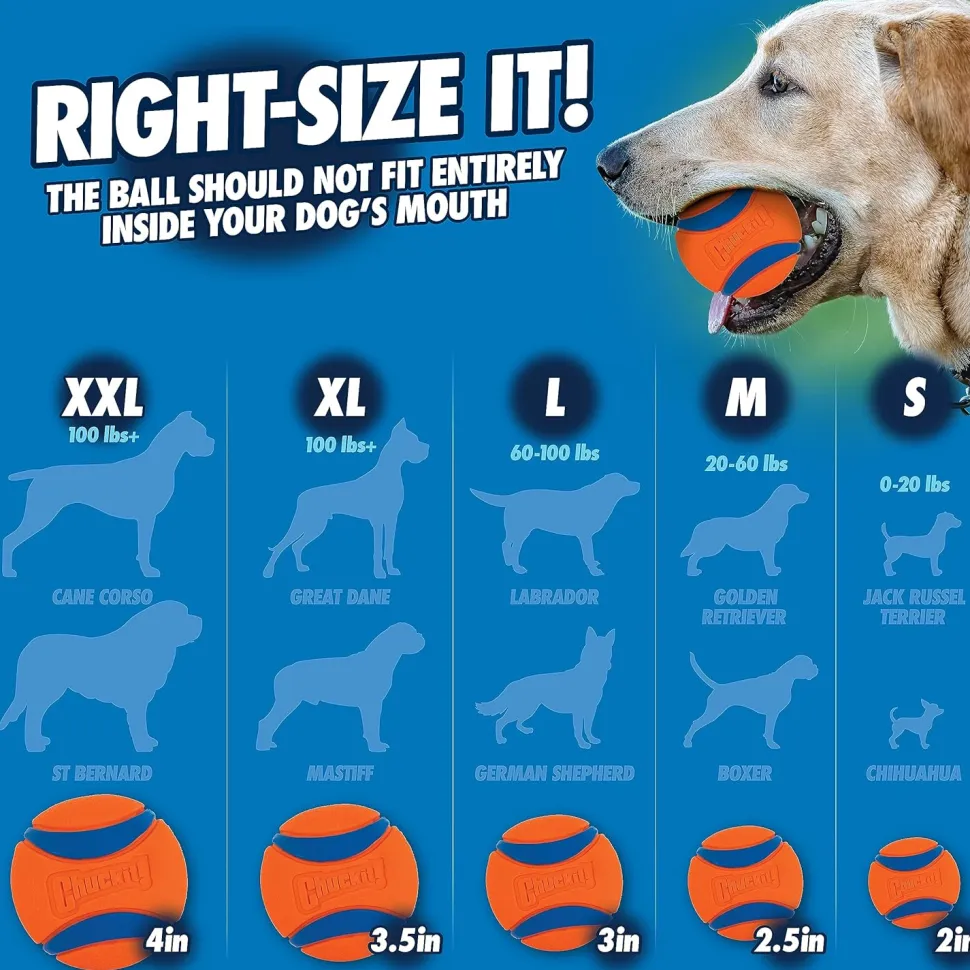 Chuckit! Sport Ball Launcher Fetch Toy For Dog - Assorted