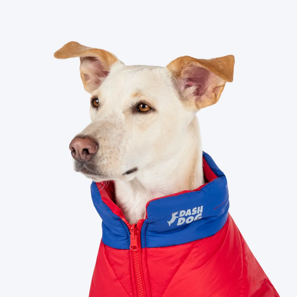 Dash Dog Outbounders Puffer Jacket For Dog - Red & Blue