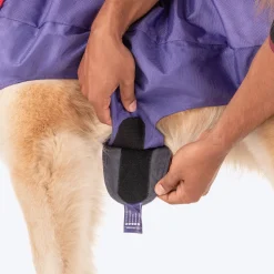 Dash Dog Outdoor Dog Jacket - Violet & Red