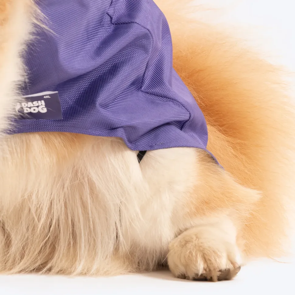 Dash Dog Outdoor Dog Jacket - Violet & Red