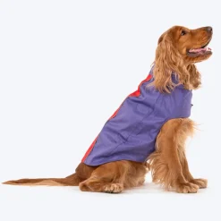 Dash Dog Outdoor Dog Jacket - Violet & Red