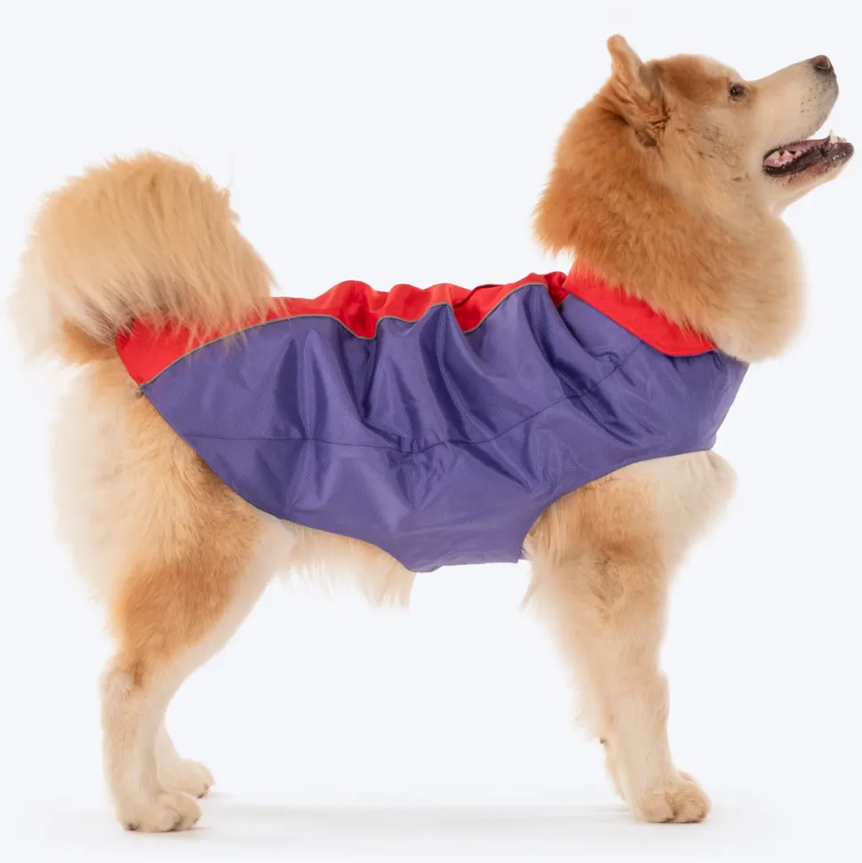 Dash Dog Outdoor Dog Jacket - Violet & Red