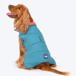 Dash Dog Puffer Dog Jacket - Aqua & Coral