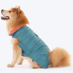 Dash Dog Puffer Dog Jacket - Aqua & Coral