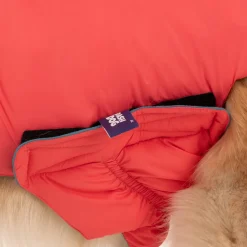 Dash Dog Puffer Dog Jacket - Aqua & Coral
