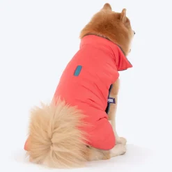 Dash Dog Puffer Dog Jacket - Aqua & Coral