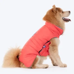 Dash Dog Puffer Dog Jacket - Aqua & Coral