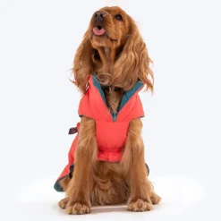 Dash Dog Puffer Dog Jacket - Aqua & Coral