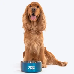Dash Dog Rainbow Dog Bowl