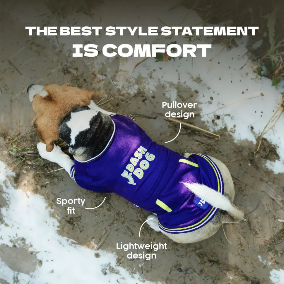 Dash Dog Trailblazer Pocket Sweatshirt For Dog - Purple