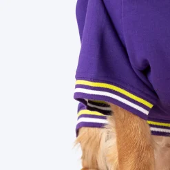 Dash Dog Trailblazer Pocket Sweatshirt For Dog - Purple