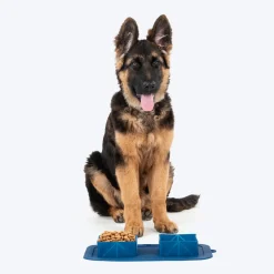 Dash Dog Travel Foldable Double Diner For Dog - Blue