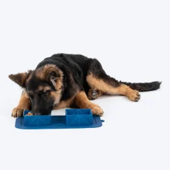 Dash Dog Travel Foldable Double Diner For Dog - Blue