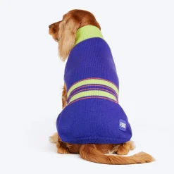 Dash Dog Winter Prism Sweater For Dog - Purple
