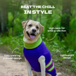Dash Dog Winter Prism Sweater For Dog - Purple