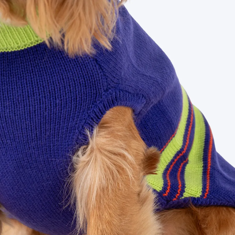 Dash Dog Winter Prism Sweater For Dog - Purple