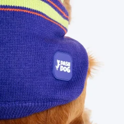 Dash Dog Winter Prism Sweater For Dog - Purple