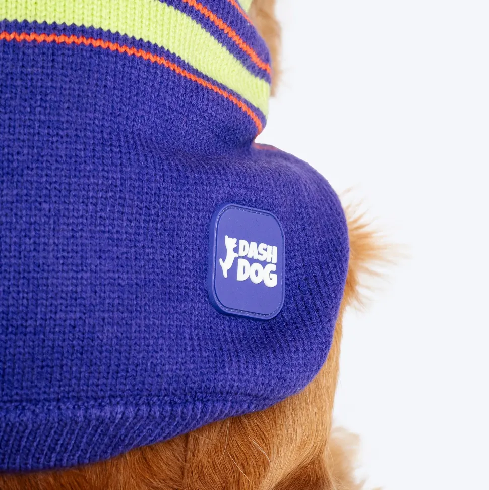 Dash Dog Winter Prism Sweater For Dog - Purple