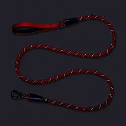 Dash Dog Chaser Rope Leash For Dog - Red
