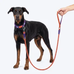 Dash Dog Chaser Rope Leash For Dog - Red