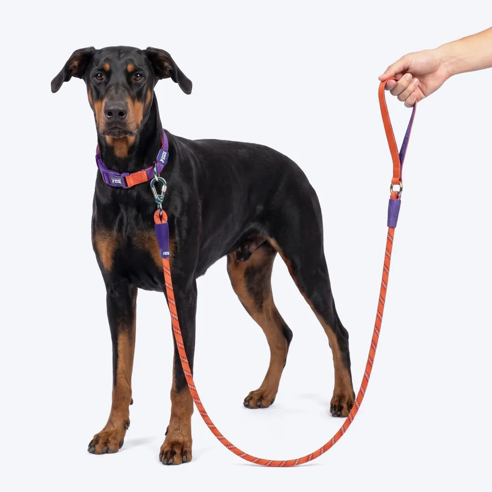 Dash Dog Chaser Rope Leash For Dog - Red