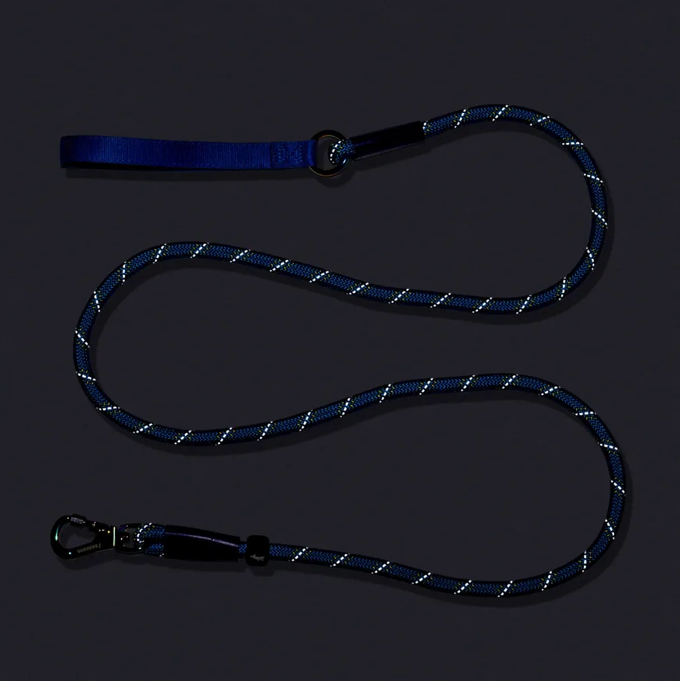 Dash Dog Chaser Rope Leash For Dog - Royal Blue