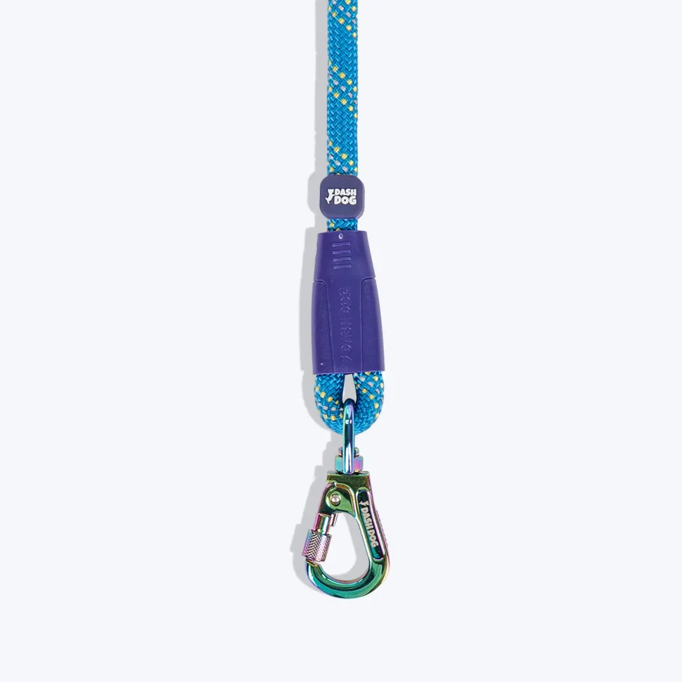 Dash Dog Chaser Rope Leash For Dog - Royal Blue