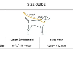 Dash Dog Chaser Rope Leash For Dog - Royal Blue