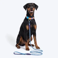 Dash Dog Chaser Rope Leash For Dog - Royal Blue