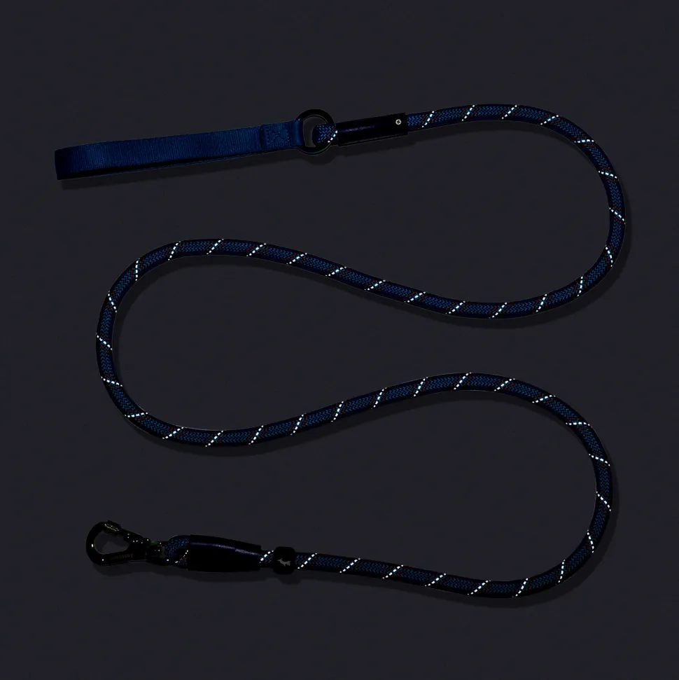 Dash Dog Chaser Rope Leash For Dog - Blue