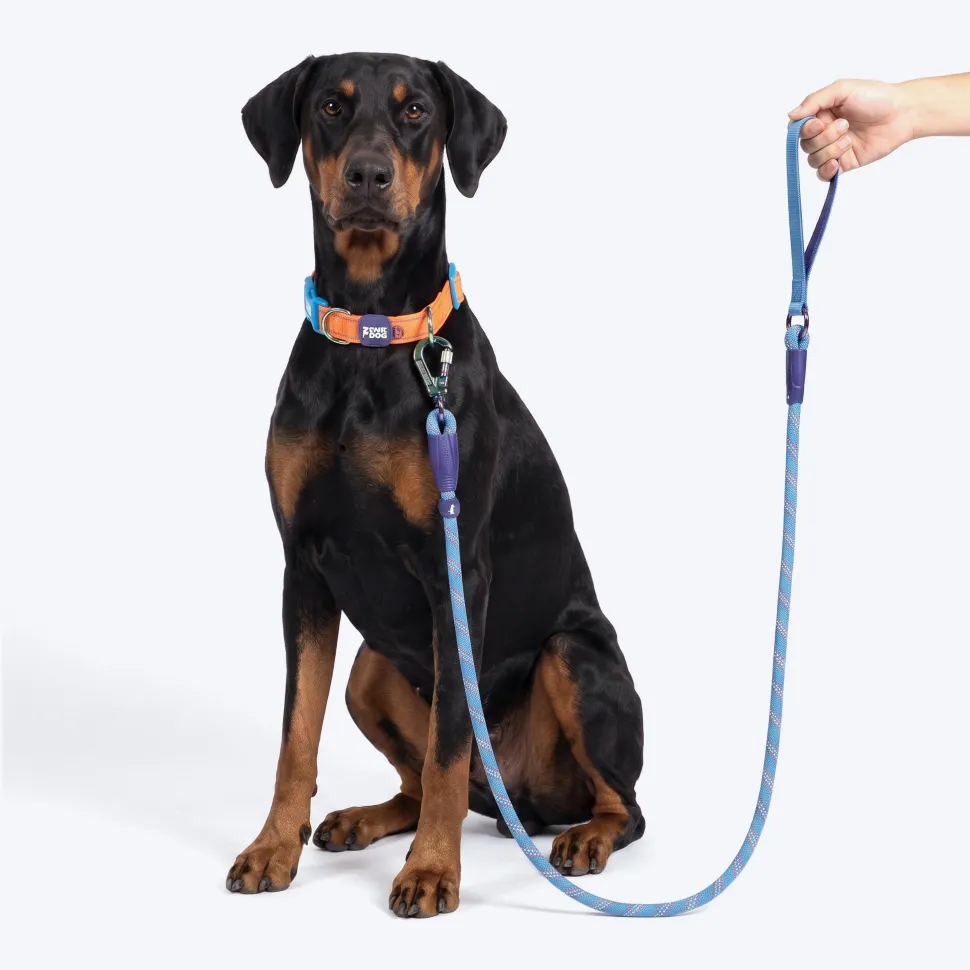 Dash Dog Chaser Rope Leash For Dog - Blue