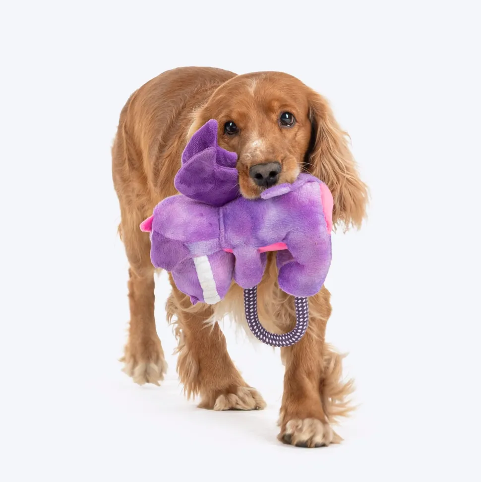 Dash Dog Cheeky Dinosaurus Squeaky Plush Toy For Dog - Purple