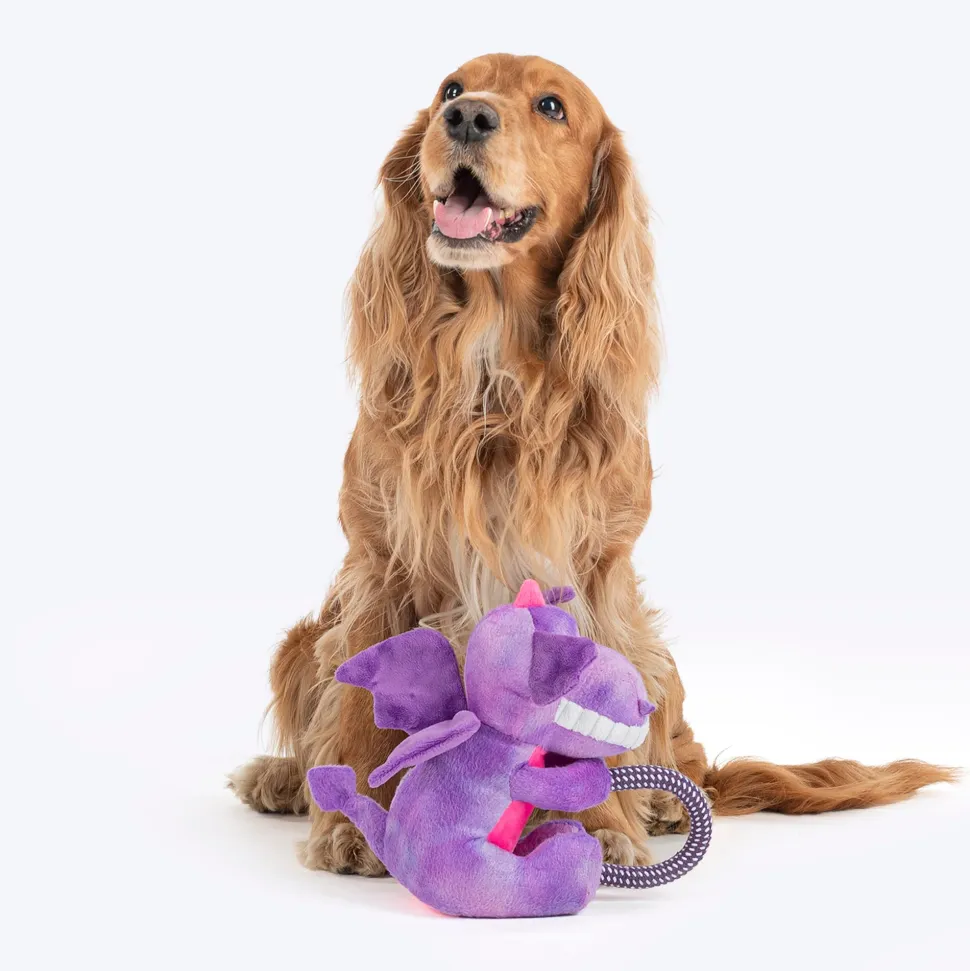 Dash Dog Cheeky Dinosaurus Squeaky Plush Toy For Dog - Purple
