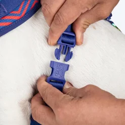 Dash Dog Chevron Easy Walk Harness For Dog - Purple